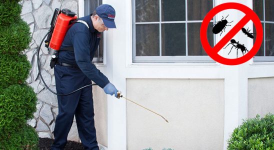 Foça Bit İlaçlama böcek ilaçlama ve haşere kontrolü — ilaclama-tr.com